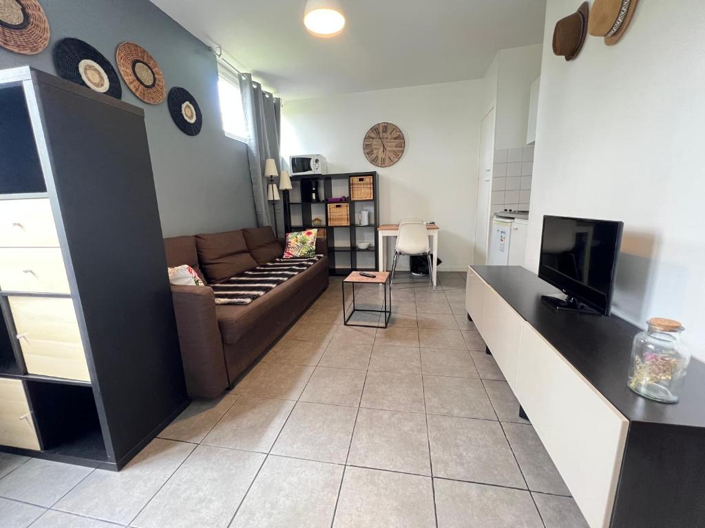 un salon avec un canapé et une télévision dans l'établissement La Paille Metz Luxembourg Parking Un-Séjour-à-Part, à Metz