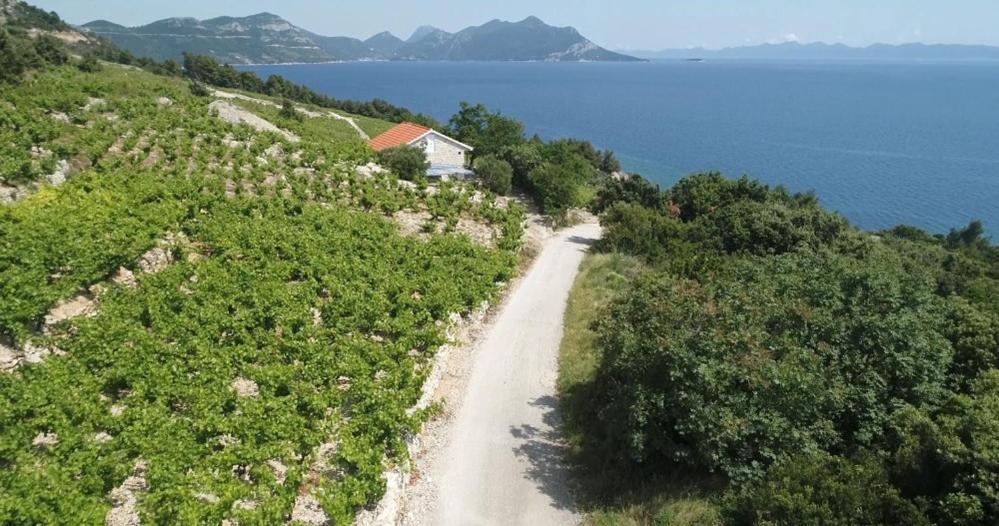 Fotografia z galérie ubytovania Robinson Dingac v destinácii Gornji Dingač
