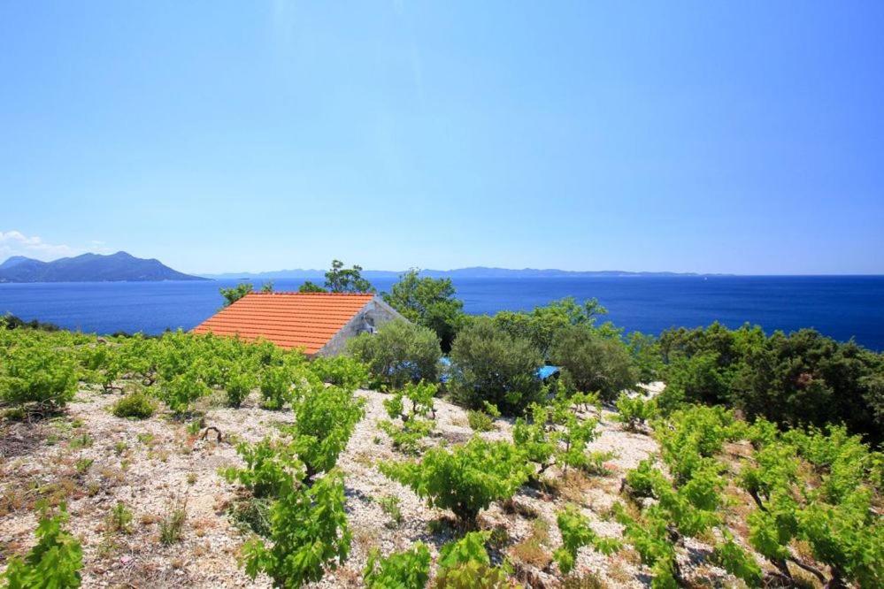 a house on a hill with the ocean in the background at Robinson Dingac in Gornji Dingač