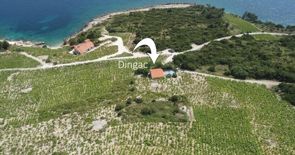 Fotografia z galérie ubytovania Robinson Dingac v destinácii Gornji Dingač