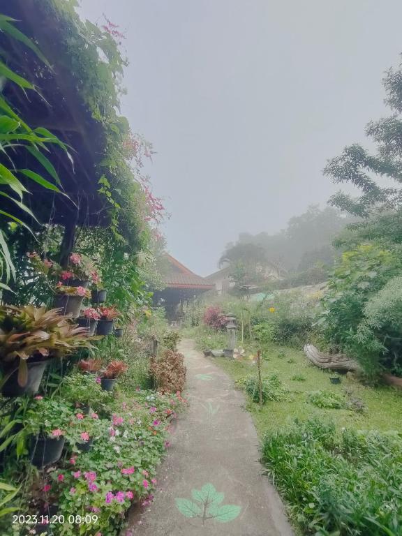 Zahrada ubytování Inpai Resort อินปายรีสอร์ท