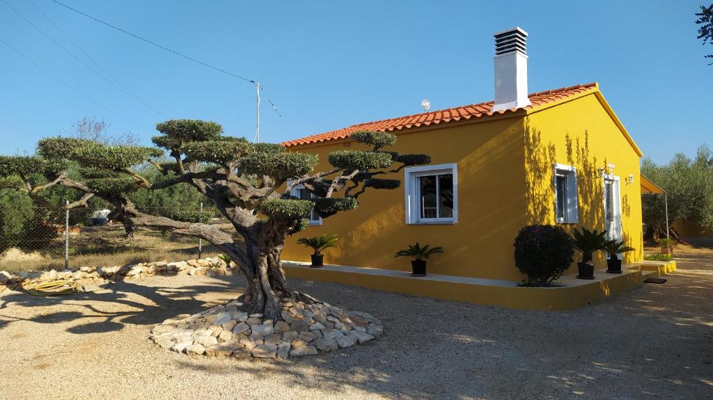 a yellow house with a tree in front of it at Casa Eli in L'Ampolla