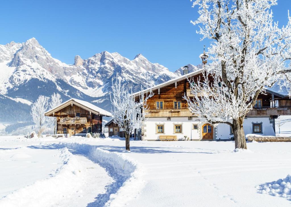 Φυσικό τοπίο κοντά σε αυτό το διαμέρισμα