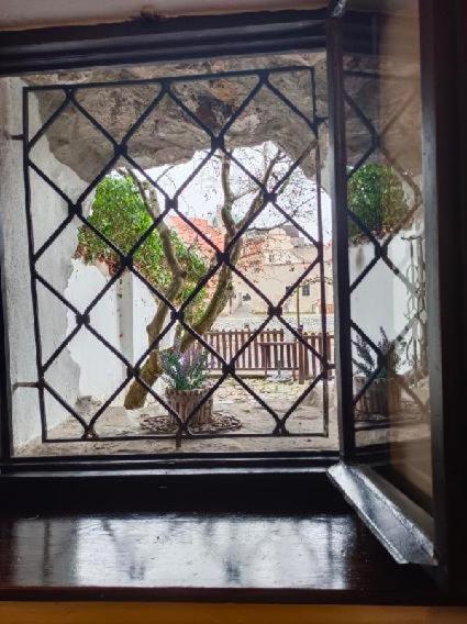 a window with a view of a garden outside at Guest House Olšakovský in Český Krumlov