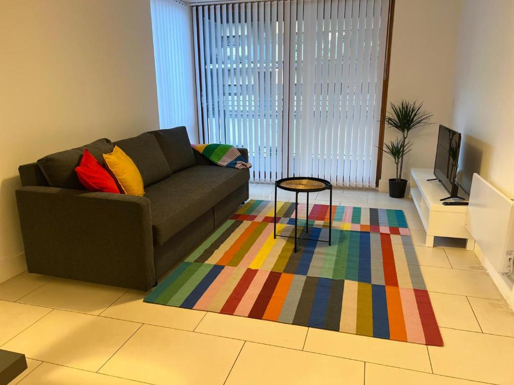 sala de estar con sofá y alfombra colorida en Secluded and spacious apartment, en Dublín