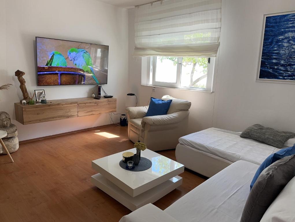 Telewizja i/lub zestaw kina domowego w obiekcie Apartments Gita