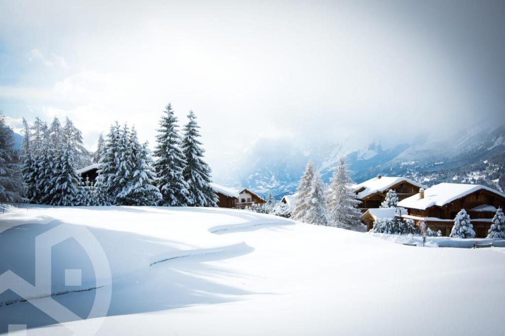 Richemont - A charming stay in the heart of the Alps v zimě