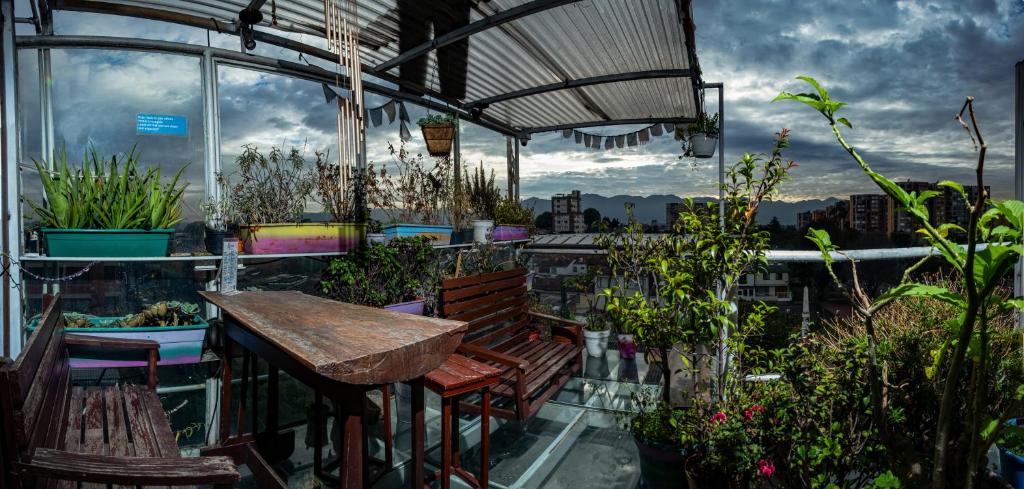 Zahrada ubytování Mandala Yoga Hostel