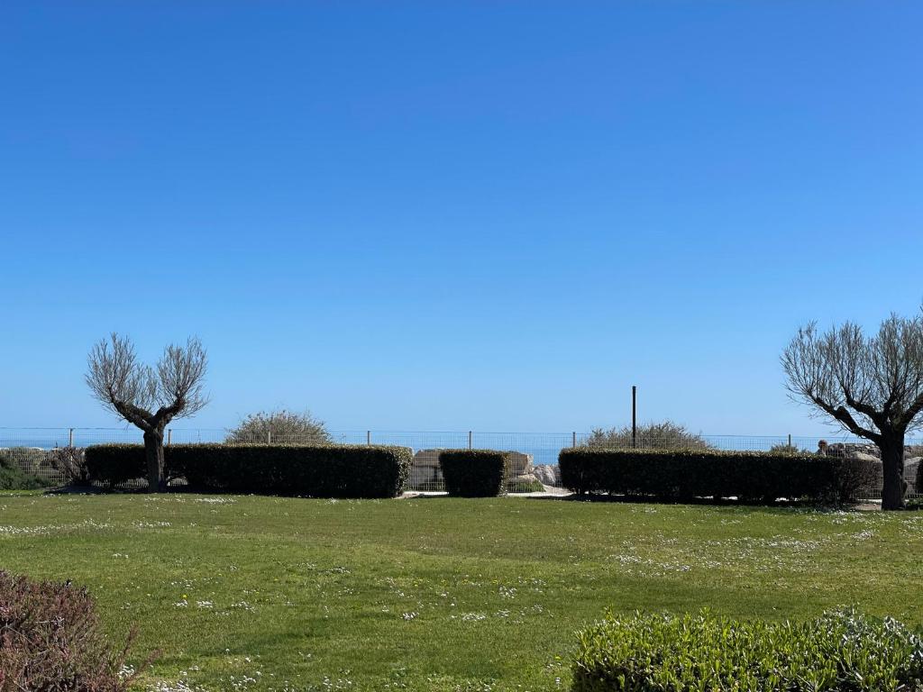 duas árvores num campo com o oceano ao fundo em Appartement Saintes-Maries-de-la-Mer, 2 pièces, 4 personnes - FR-1-475-111 em Saintes-Maries-de-la-Mer