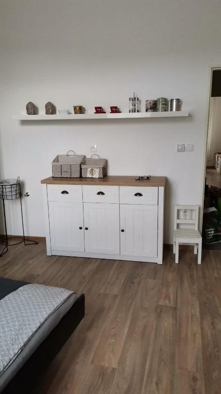 Kuchyň nebo kuchyňský kout v ubytování Stylový apartmán v centru Náchoda