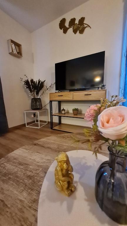 TV a/nebo společenská místnost v ubytování Le Cosy Home