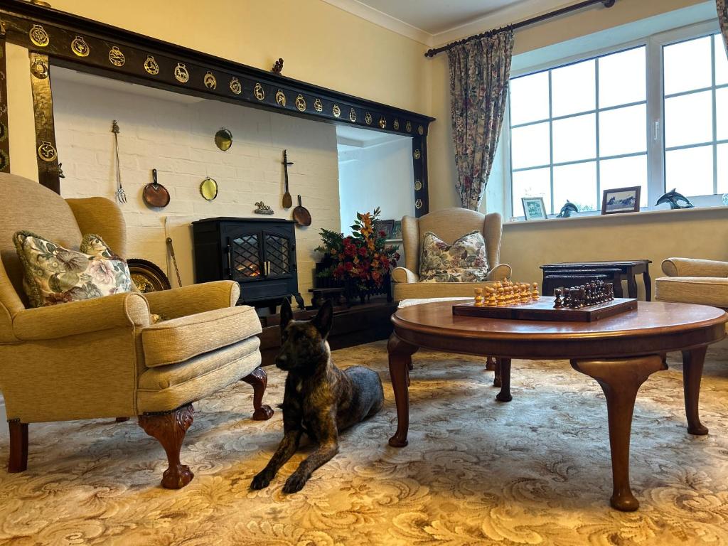 un perro sentado en una sala de estar con una mesa en Lucy Cross Guest House, en Lucy Cross