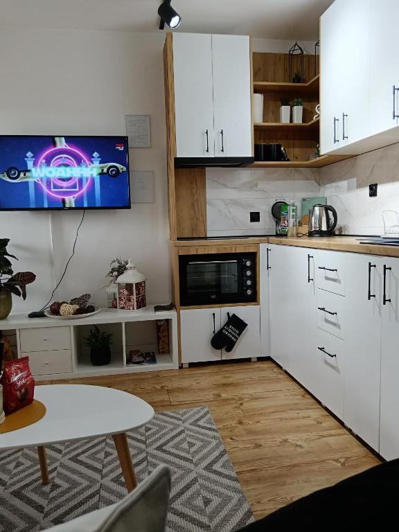 Kuchyň nebo kuchyňský kout v ubytování Apartman Element