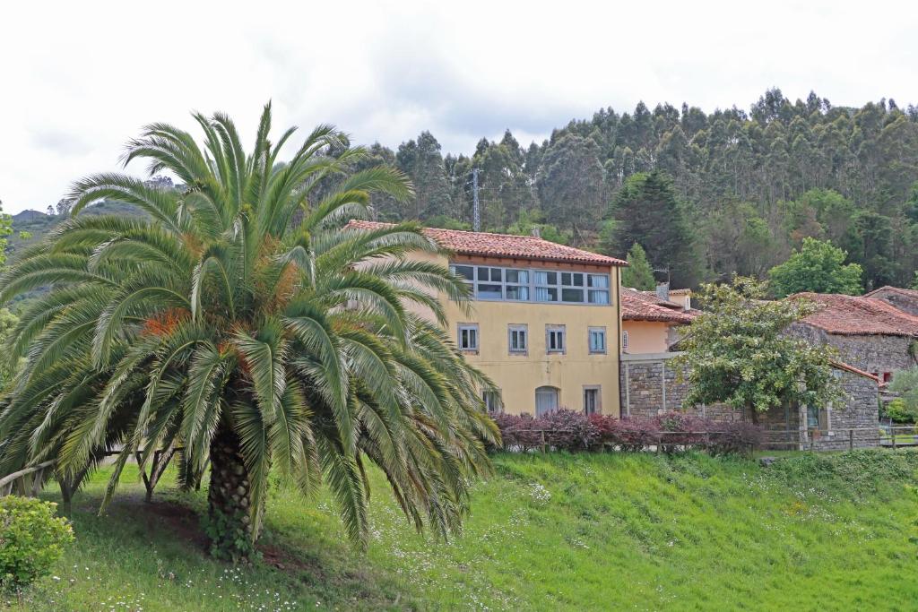 Zahrada ubytování Hotel El Babú
