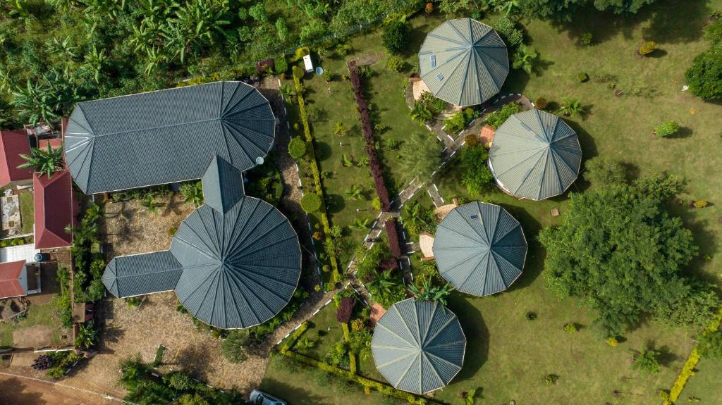 an overhead view of umbrellas in a park at Entuiga cottages in Hoima
