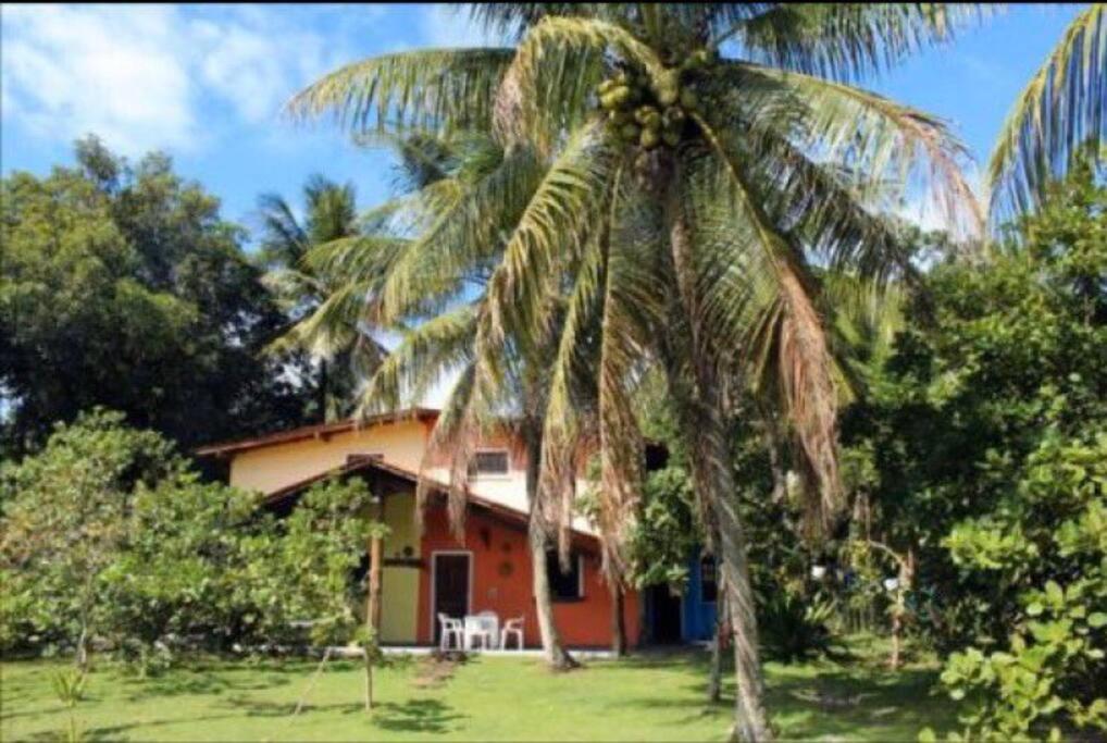 una palmera frente a una casa en Chalé 2 Praia de Moreré Boipeba en Moreré