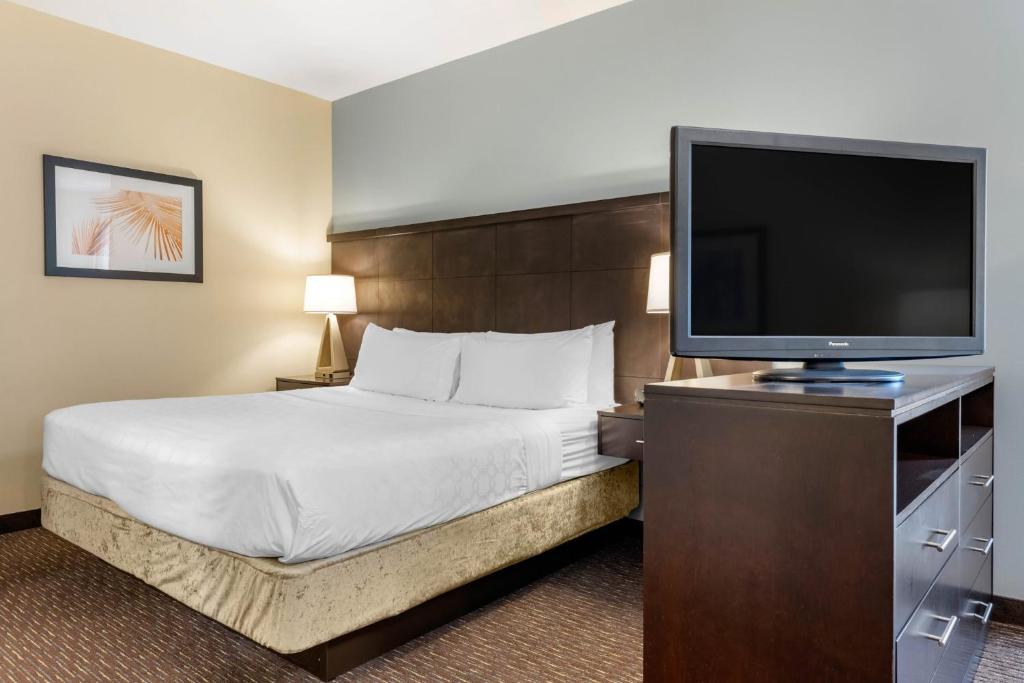 Staybridge Suites St. Petersburg FL by IHG photo