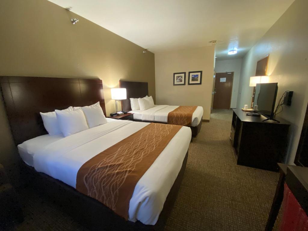 Comfort Inn & Suites Gunnison-Crested Butte - 标准大号床间 - 带两张大号床 - 禁烟