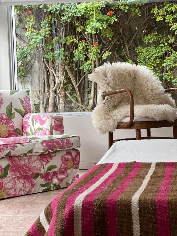 a teddy bear sitting in a chair next to a window at El Jacarandá, relax, en Chascomús in Chascomús