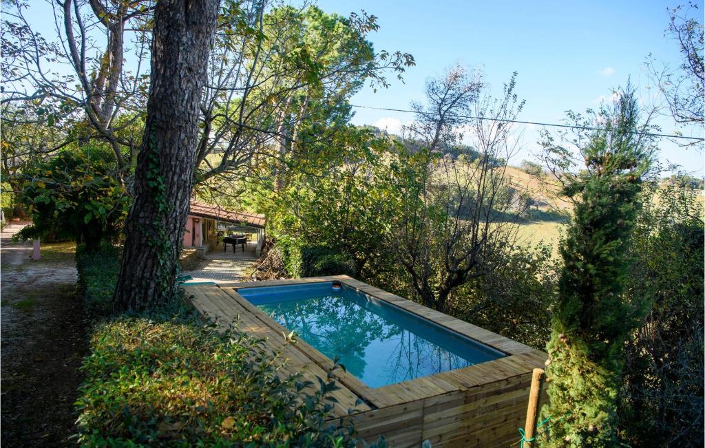 una piscina en un patio junto a un árbol en Gorgeous Home In Montelabbate With Kitchen, en Montelabbate