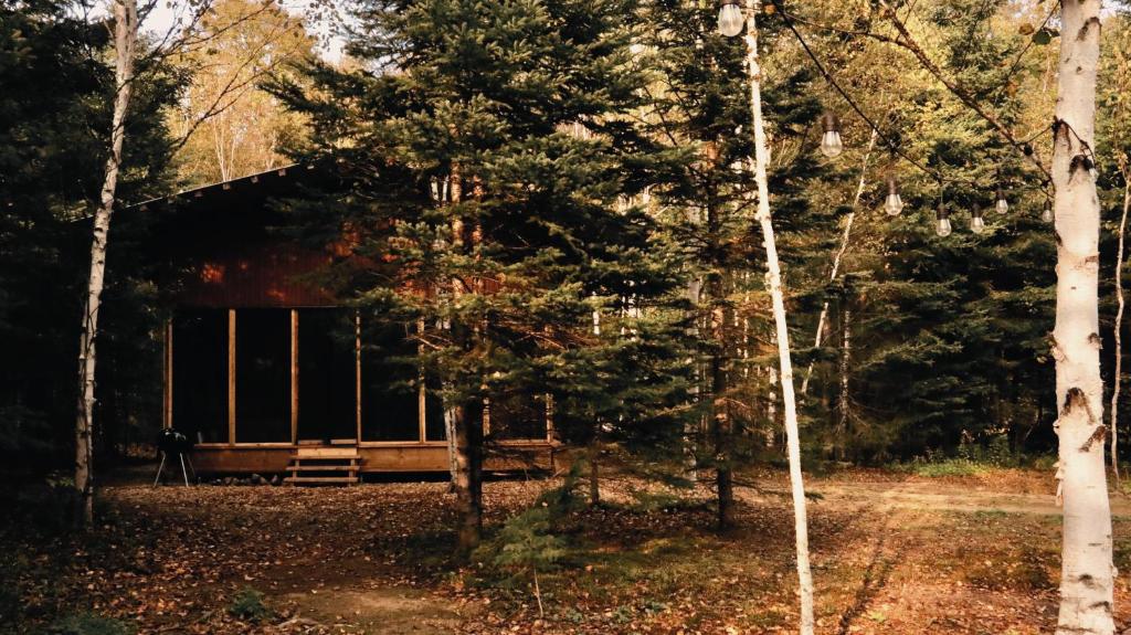 a cabin in the middle of a forest with trees at Chalet Mauricie, La Tuque in La Tuque