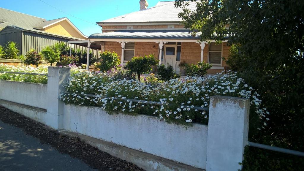 a fence in front of a house with white flowers at Book Keepers Cottage in Waikerie
