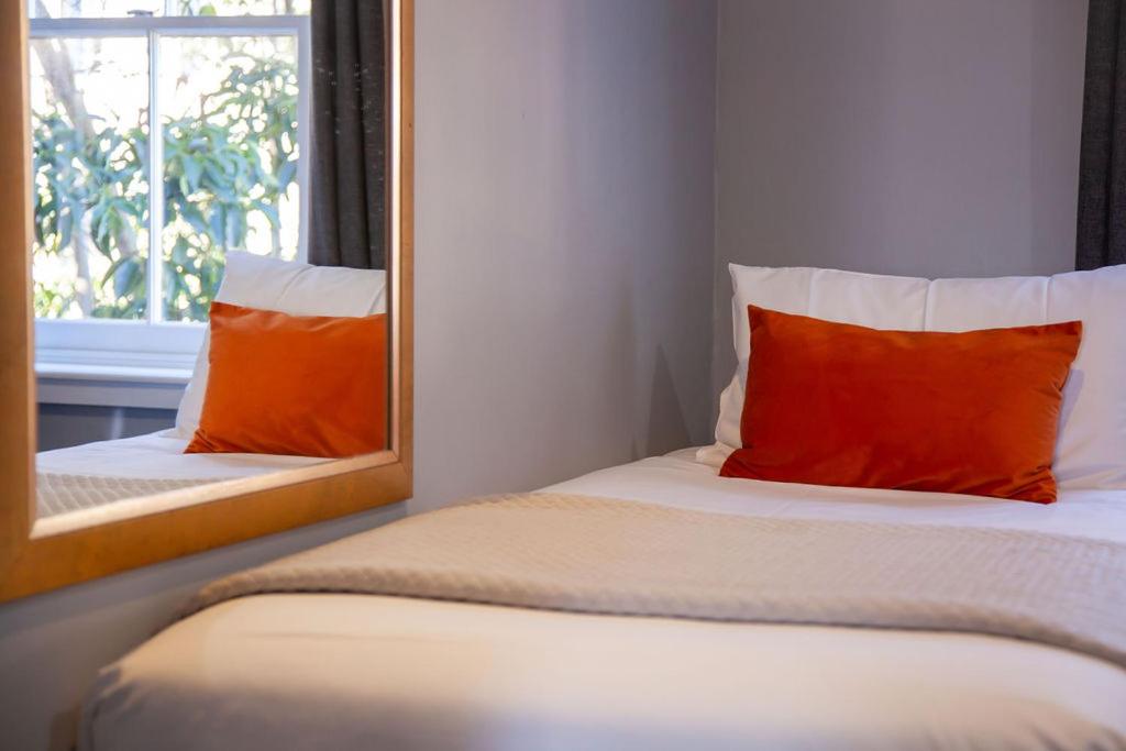 Bayswater Boutique Lodge - Potts Point - Resim 9