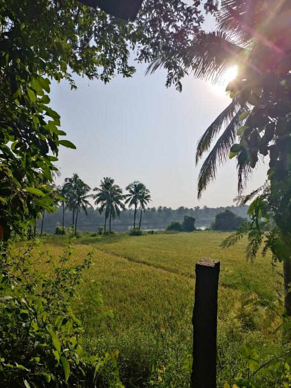 a field of grass with palm trees in the background at Svarna in Udupi