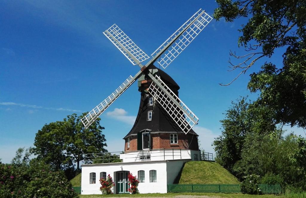 a black and white windmill on top of a hill at Windmühle Catharina in Oldenswort
