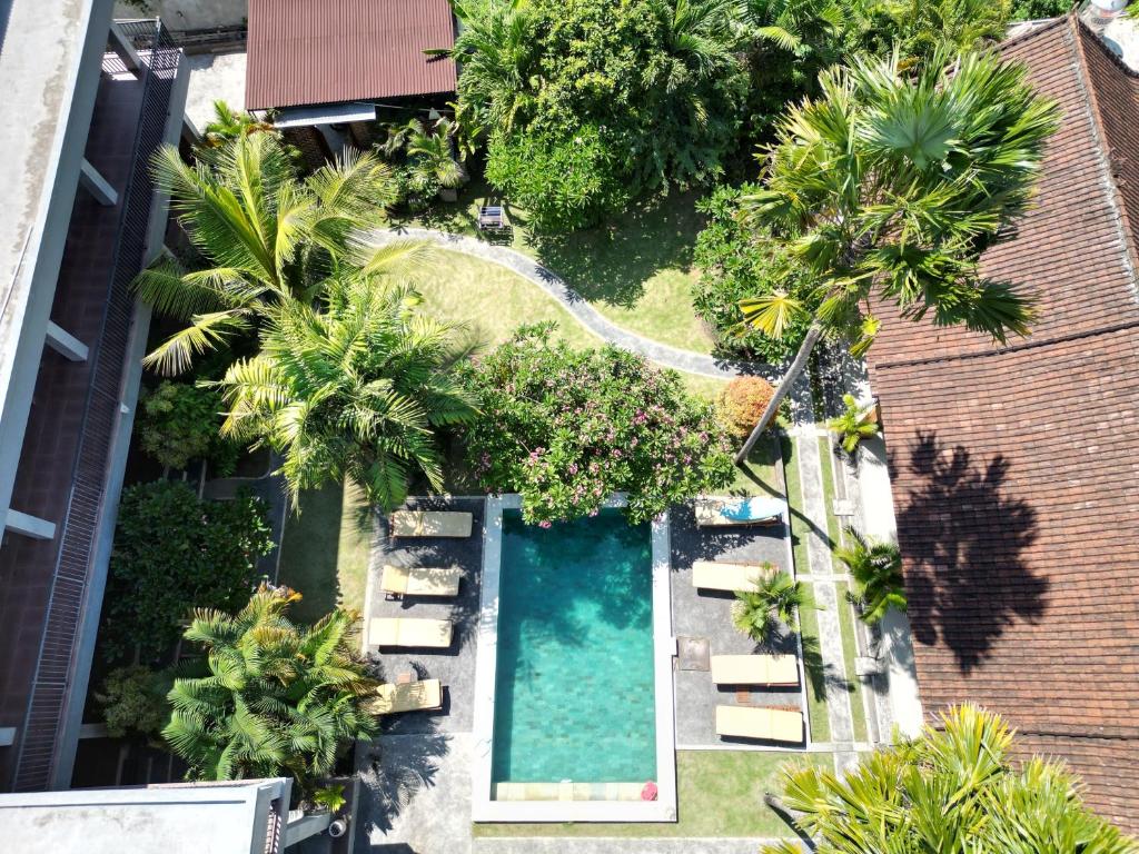 an overhead view of a swimming pool with palm trees at Lemon Guest House in Canggu