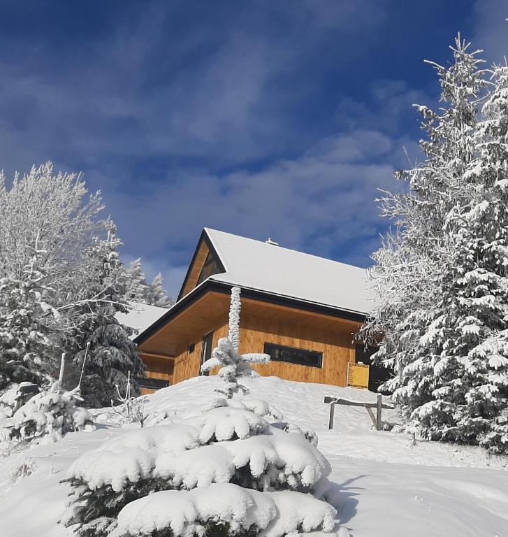 a log cabin with snow covered trees in front of it at Domki Krynica in Krynica Zdrój
