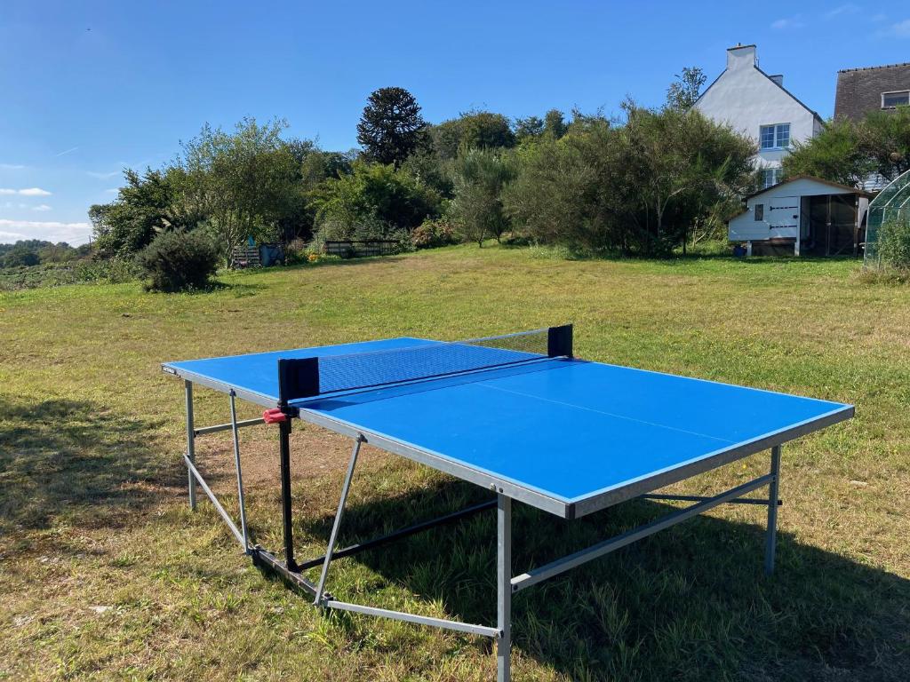 Stolní tenis v ubytování Le gîte de l'Araucaria nebo okolí