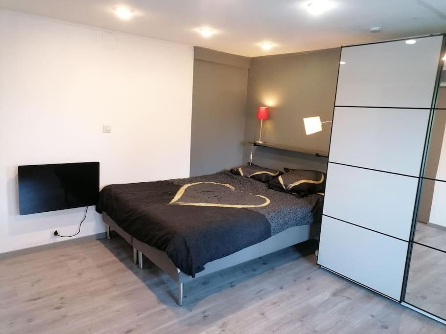 een slaapkamer met een bed en een flatscreen-tv bij Studio calme à proximité des 7 meuses in Profondeville