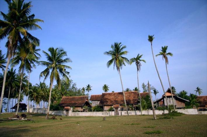 a house with palm trees in front of a field at Terrapuri Heritage Village, Penarik in Kampung Penarik