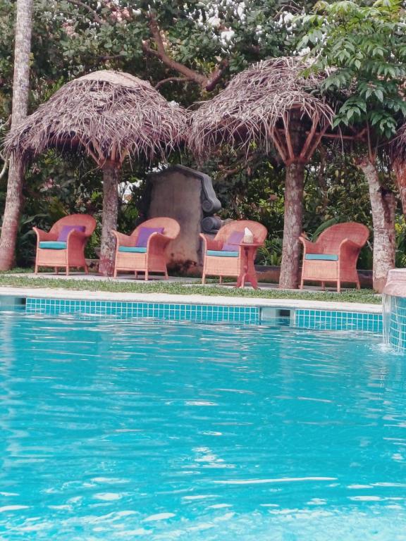 a group of chairs sitting next to a swimming pool at Marari Beach Bungalow in Mararikulam
