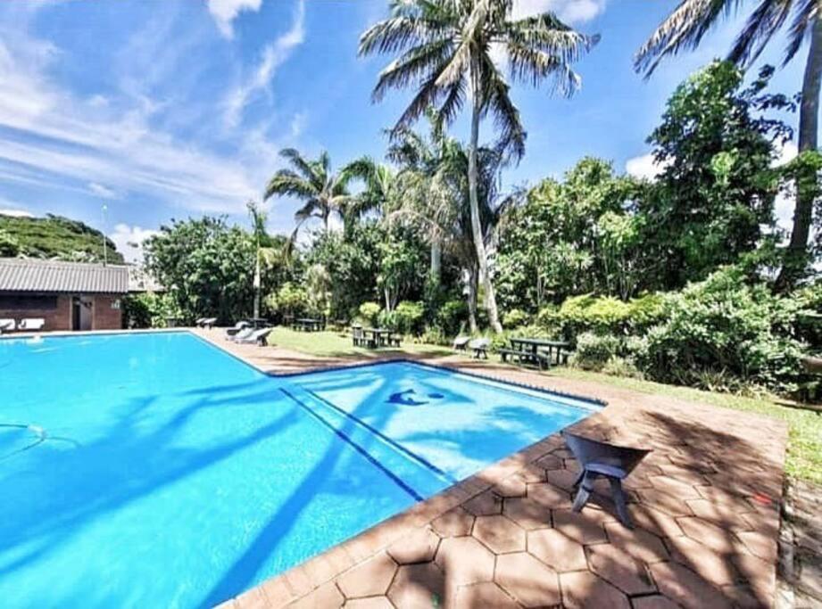 una imagen de una piscina en una casa en Manzini Chalet 39, en St Lucia