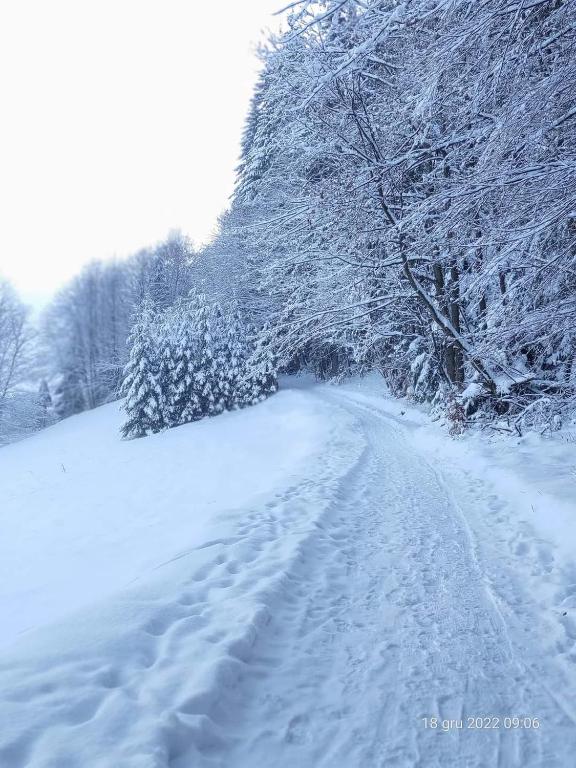 Domek Góralski Chata u Słodkiego Zakopane v zime