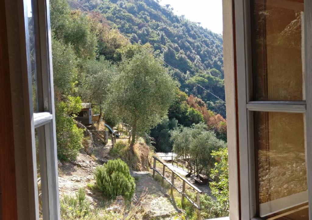a view from a window of a hill with trees at Agririfugio Molini in Camogli