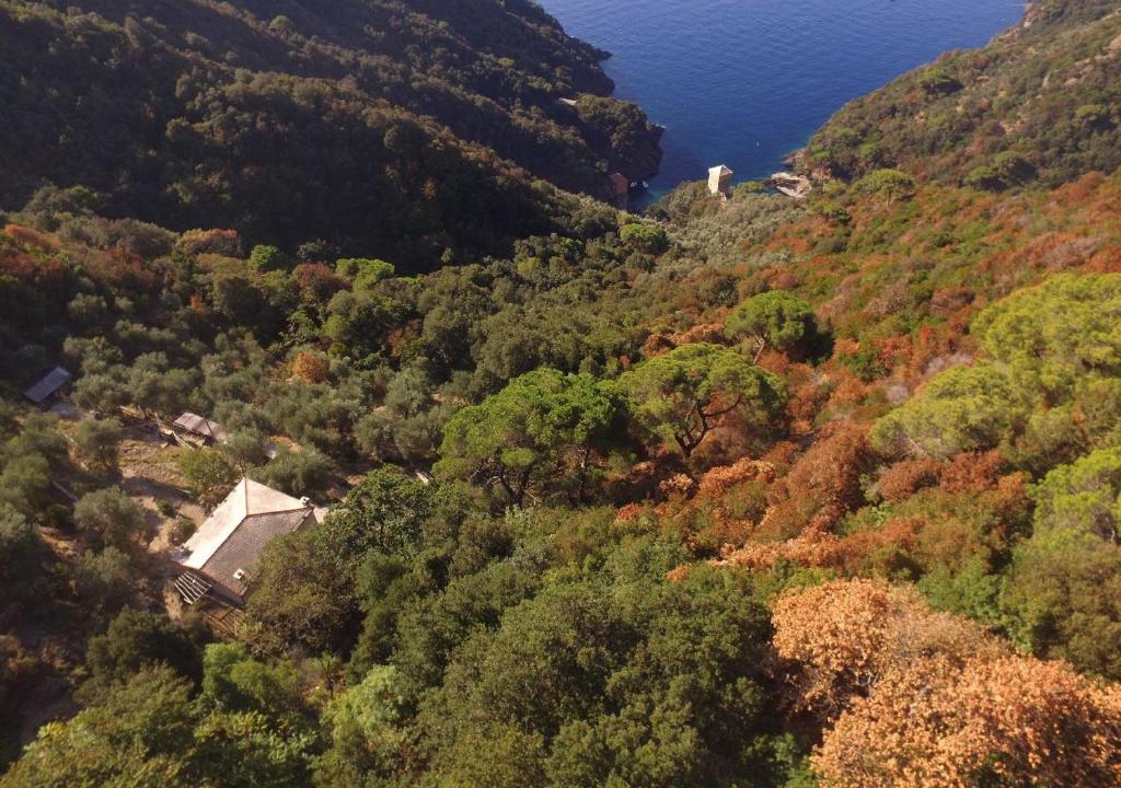 a house in the middle of a hill with trees at Agririfugio Molini in Camogli