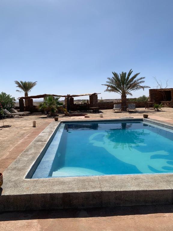 duży niebieski basen z palmami w tle w obiekcie Maison Boutchrafine w mieście Arfud