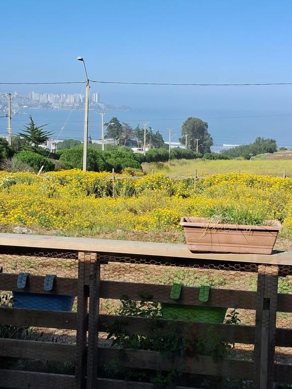 un planteur assis sur un banc à côté d'un champ de fleurs dans l'établissement Vista al mar, à Concón