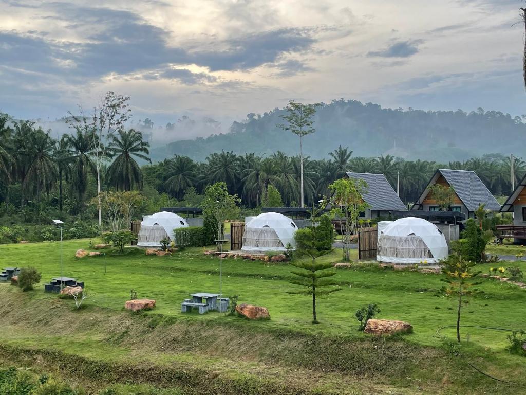 a group of tents in a field with cows at Baanrimfai Homestay in Ban Thung Sang