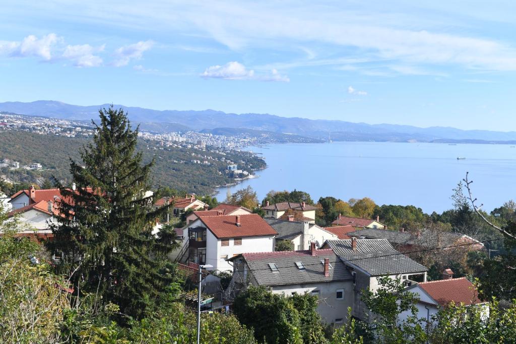 a town with a view of a body of water at Apartment Gogo in Opatija