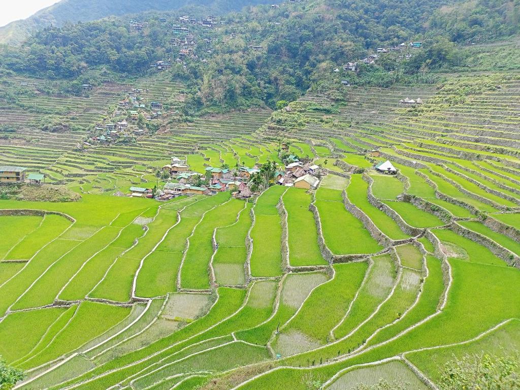 Banaue Transient House Bed and Breakfast, Banaue (updated prices 2026)