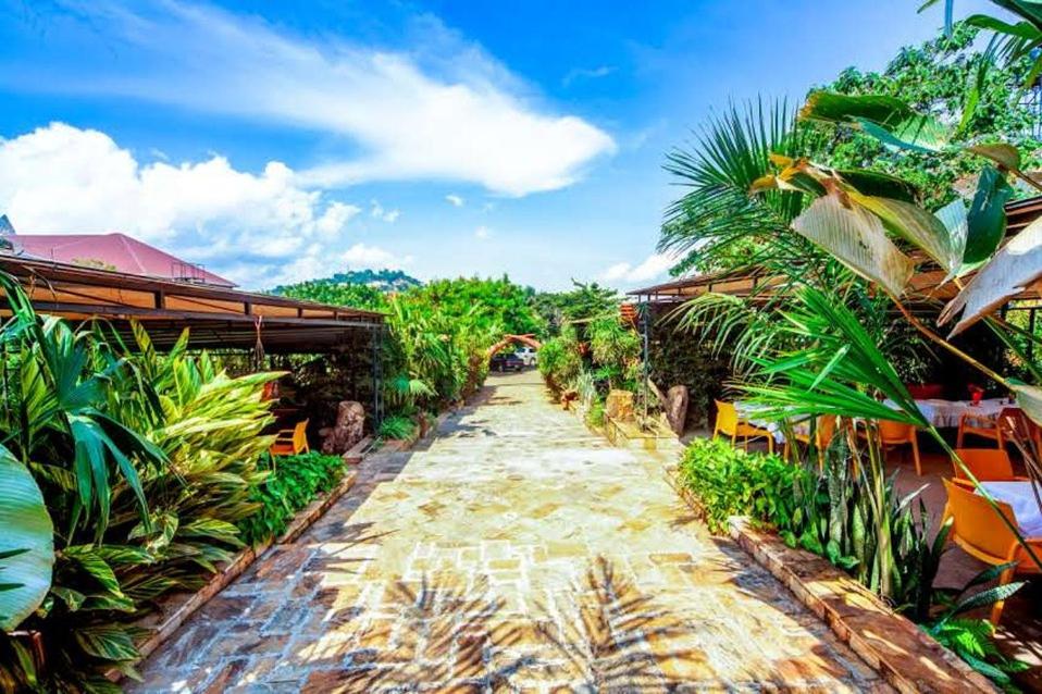 a path through a garden with palm trees at African Tribe Suites in Kampala