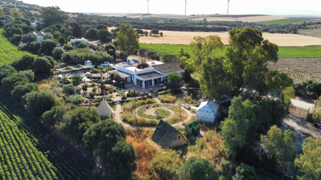 una vista aérea de una finca con un viñedo en Milagro de Algar en Vejer de la Frontera