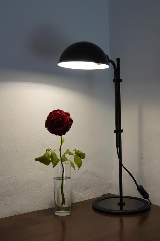 Fotografie z fotogalerie ubytování PANO Apartment v destinaci Triandáros