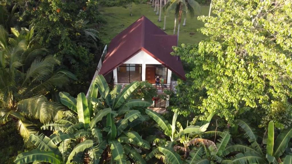 dom z czerwonym dachem pośrodku drzew w obiekcie Private Comfortable Guest House w mieście Alburquerque