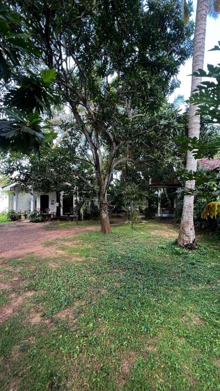 Zahrada ubytování Sylvester Villa Hostel Negombo