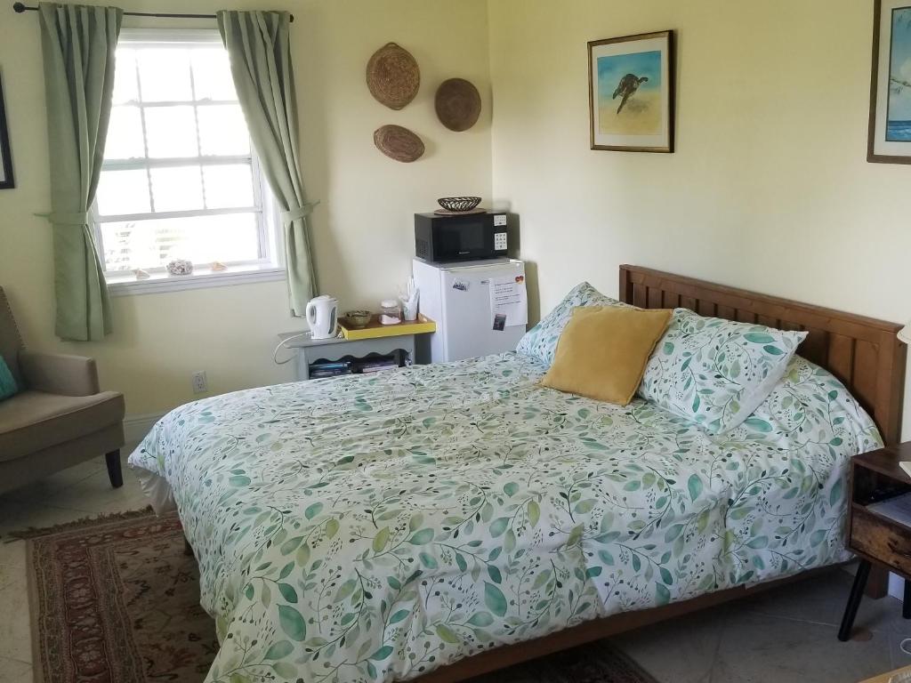 Schlafzimmer mit einem Bett, einer Mikrowelle und einem Fenster in der Unterkunft Lakeview bed & breakfast in Freeport